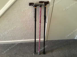 Three Walking Sticks