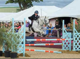 Spectacular Pony club all-rounder