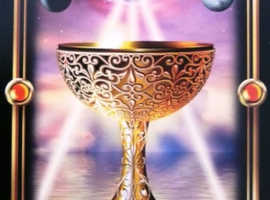TAROT READER