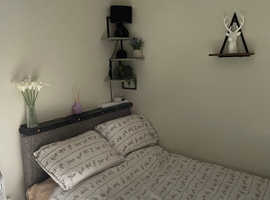 Room to let