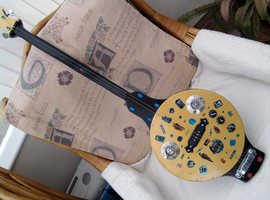 2 String Bass Guitar