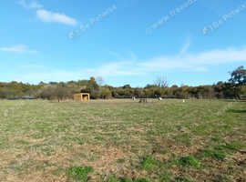 Secure dog walking fields