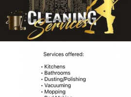 Cleaning services