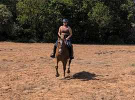 Lovely big low level allrounder / happy hacker