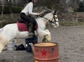 a pony that has so much to give