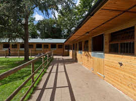 Looking for 3-4 passionate equestrians (UK-based, 19+) to join me in starting a shared livery & training yard business