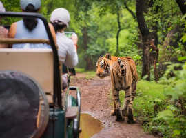 North India Wildlife Tour Packages