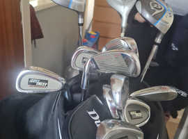 Golf club and bag