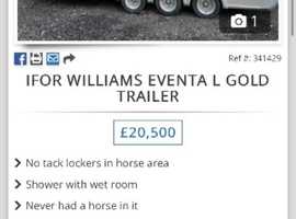 Ifor Williams Eventa L Gold tri-axle trailer