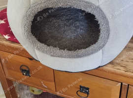Cat bed