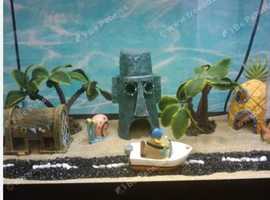 CLOWNFISH FOR SALE