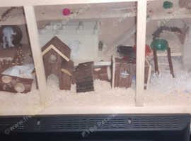 2 Hamsters and large inclosures with all accessories