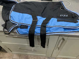 Miniature horse coat
