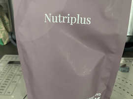 Nutriplus Chicory Coffee ok