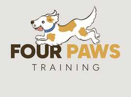Positive, Patient, Consistent training for dogs behaviour