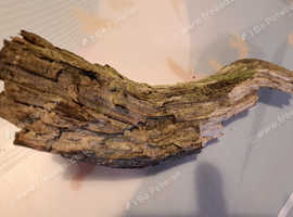 Soft Dead Oak for Isopods, Invertabrates, Reptiles and Amphibians
