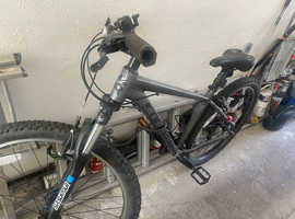 Carrera mountain bike