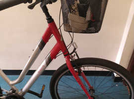 Women's Large Framed Marin Bicycle extras rear carrier/ detachable front quality Basket. Shimano gears. Rides like a dream