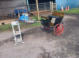 Shetland pony cart