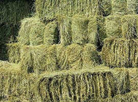 Large Bale of Hay