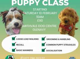 Dog Training classes for all ages