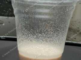 Microworm Culture for Fry £2.50 (Downend BS16)