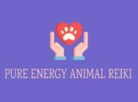 ANIMAL REIKI HEALING AVAILABLE READ ON..
