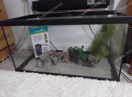 2 Foot fish tank