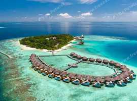 Become a Travel Agent From Home