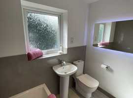 Master Bathroom fitter
