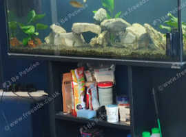 Diversa 200 litre Aquarium and Stand