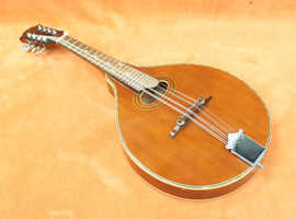 Vintage Hondo Mandolin, sounds really nice, new strings and a hard case