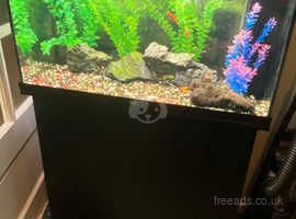 125 juwel fish tank