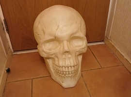 Large plastic skull