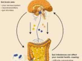 hypnotherapy, NLP and counselling