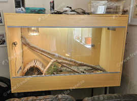 Vivarium 1200mm x 600 x 800