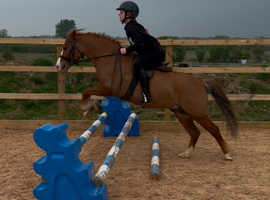 fun all rounder
