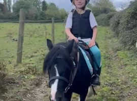 Lead rein , first ridden shetland