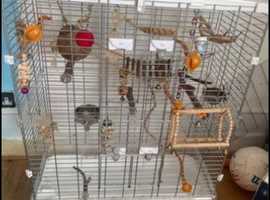 Large parrot or birds cage