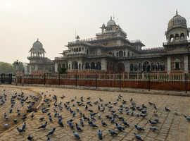 India Wildlife Tour Packages
