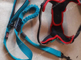 Medium Dog Harness (Adjustable) & Lead