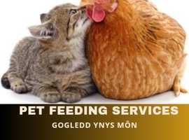 Pet Feeding Services