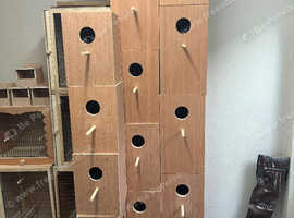 Parakeet nest boxes