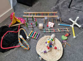 Parrot toys