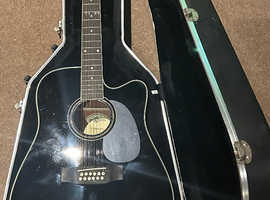 Dreadnought 12 string Gear4music guitar, with touring grade flight case
