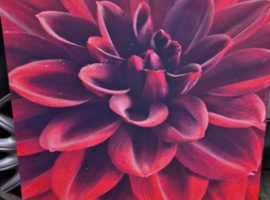 Large Red Flower Canvas Wall Art Print