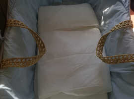 Moses basket