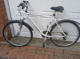 Free Bike