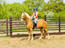 Baby aka bubba ride/drive most loving lad