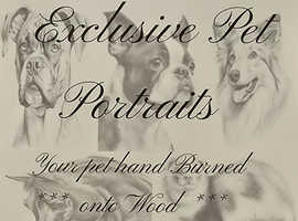Exclusive pet portraits